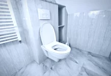 What are Some Benefits of Smart Toilets? smart toilet seat