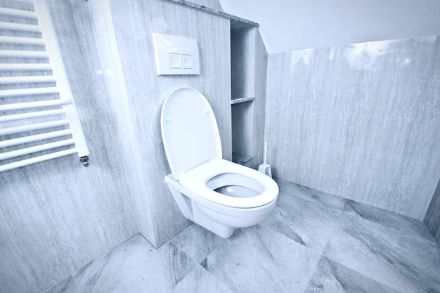 What are Some Benefits of Smart Toilets?