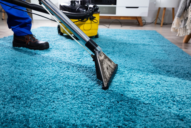 Freshen Up Your Space with Expert Carpet Cleaning