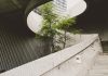 Business Structures, Business Cards, and More: Tips for Coping With Climate Anxiety and Helping the Planet