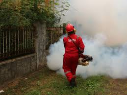 Professional Dos and Don’ts of pest management - Room Dome Pest management