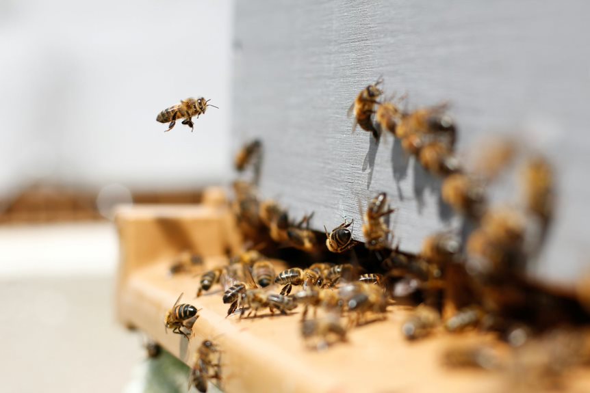 Keep Your Garden Pest-free