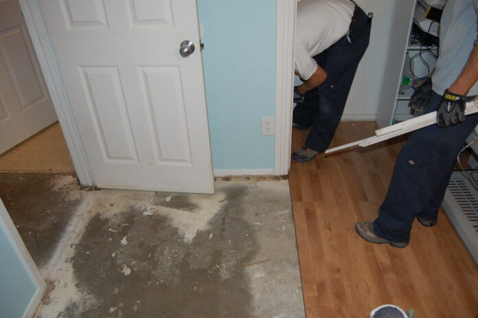 The Importance of Professional Water Damage Restoration Water Damage Restoration