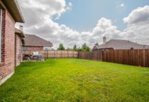 How Do Professionals Handle Stingy Insect Infestations in Little Elm Little Elm