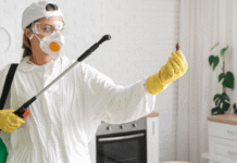 Professional Pest Control for Bend Homes: Things You Can Expect Pest Control