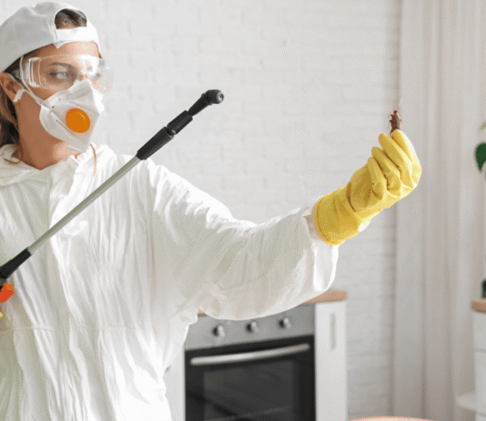 Professional Pest Control for Bend Homes: Things You Can Expect Pest Control