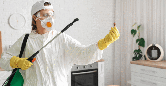 Pest Control for Bend Homes: Things You Can Expect Pest Control