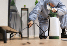 Pest Problems in Naperville Require Consistent Professional Attention Pest Problems