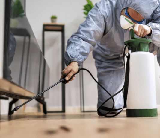 Pest Problems in Naperville Require Consistent Professional Attention Pest Problems