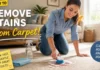 How to Remove Stains From Carpet Without Damaging the Fibers: A Practical Home Guide How to Remove Stains From Carpet
