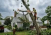 A Rhode Island Homeowner’s Guide to Removing a Storm-Damaged Tree Safely Storm-Damaged Tree Removal