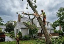 A Rhode Island Homeowner’s Guide to Removing a Storm-Damaged Tree Safely Storm-Damaged Tree Removal