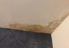 Why South Florida Homes Grow Mold With No Leak At All Homes Grow