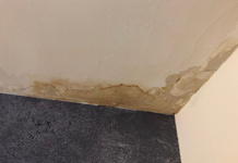 Why South Florida Homes Grow Mold With No Leak At All Homes Grow