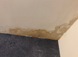 Why South Florida Homes Grow Mold With No Leak At All Homes Grow