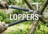Loppers Buying Guide: How to Choose the Right Pruning Tool for Clean Cuts, Easier Gardening, and Better Results in Your Yard Loppers