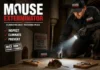 Mouse Exterminator Guide: When to Call a Pro, What It Costs, and What to Expect Mouse Exterminator